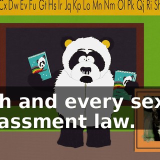 each and every sexual harassment law.