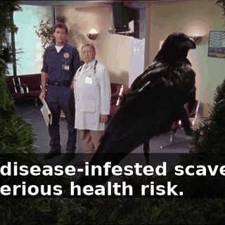 a8e41f17-fb79-4b16-bdb3-823531f5c495.gif