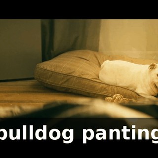 a8ff62b2-3eb5-4383-85c7-fde8b30aa385.gif