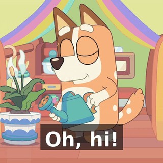 Oh, hi!