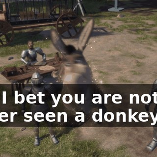 but I bet you are not never seen a donkey fly.