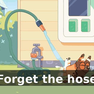 -Forget the hose!