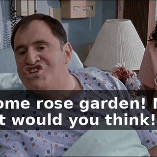 a9508e75-7196-48b5-ab1a-5c3d0ea06853.gif