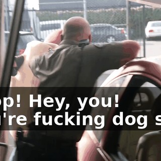 a981da6a-bd4c-45b0-a484-0bbaf887c07e.gif