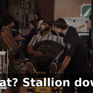 What? Stallion down?