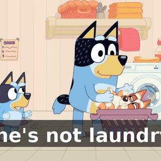 She's not laundry!