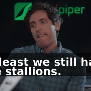 At least we still have the stallions.
