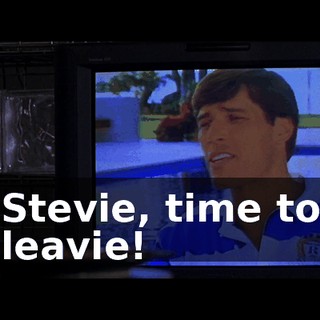 Stevie, time to leavie!