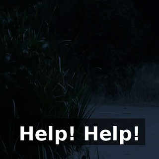 aa156e12-012b-4d7d-bf62-577d07107f1a.gif