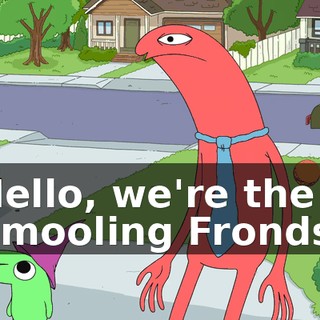 Hello, we're the Smooling Fronds.