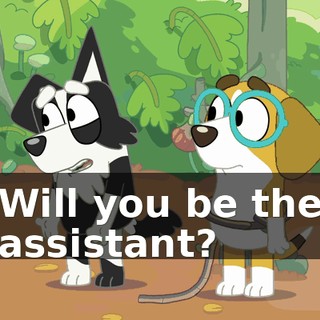 Will you be the assistant?