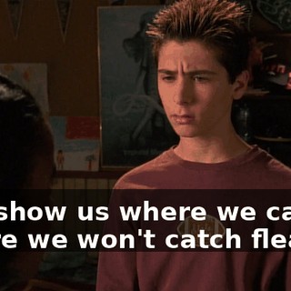 Just show us where we can sit where we won't catch fleas.