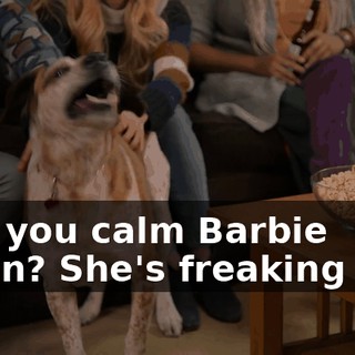 Can you calm Barbie down? She's freaking out.