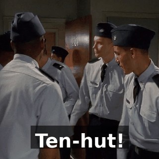 Ten-hut!