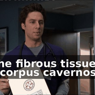 aaef264a-601b-4716-99d2-a1c7268f7491.gif