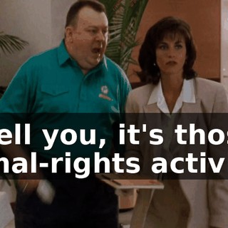 ab13ad1a-4379-41bb-a693-28d51d945e43.gif