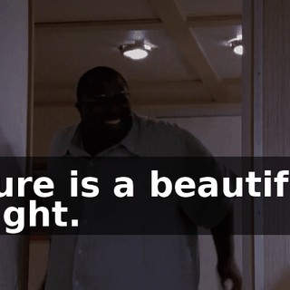 Sure is a beautiful night.
