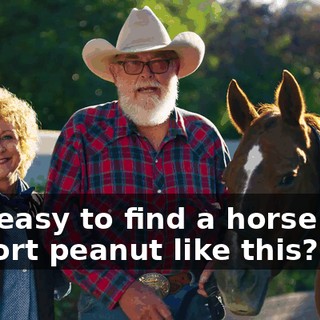 Is it easy to find a horse with a short peanut like this?