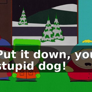 Put it down, you stupid dog!