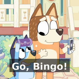 Go, Bingo!