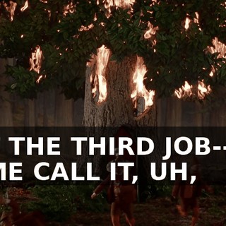 BUT THE THIRD JOB--UH, SOME CALL IT, UH,
