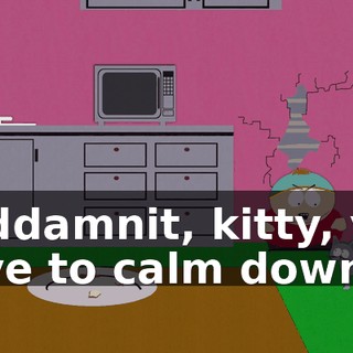 Goddamnit, kitty, you have to calm down!