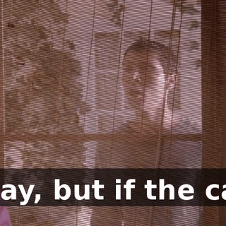 Okay, but if the cats