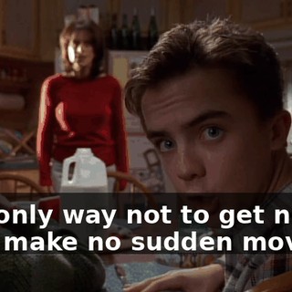The only way not to get nailed is to make no sudden moves