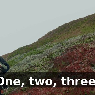 ac6bd039-65e3-4ac1-aad2-65ee510cf707.gif