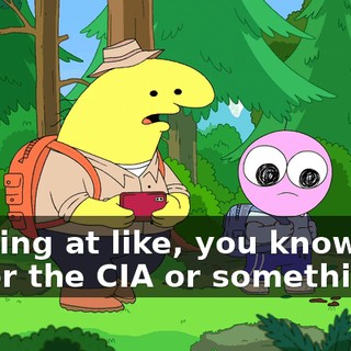 working at like, you know, the FBI or the CIA or something.