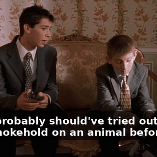 and I probably should've tried out that new chokehold on an animal before you.