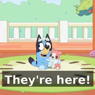 They're here!