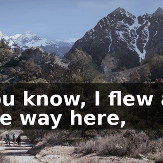 You know, I flew all the way here,