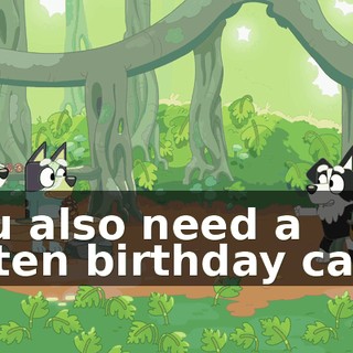 You also need a kitten birthday cake,