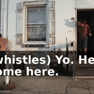 (whistles) Yo. Hey, come here.
