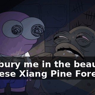 you bury me in the beautiful Chinese Xiang Pine Forest,