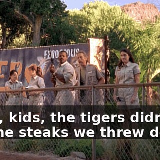 Okay, kids, the tigers didn't go for the steaks we threw down.