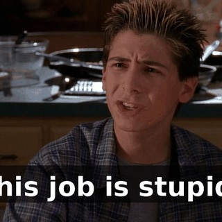 This job is stupid!