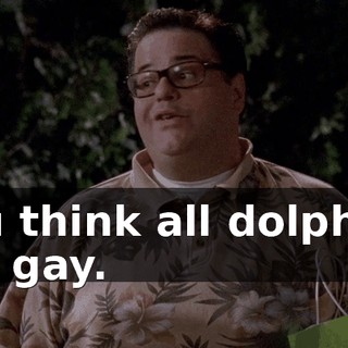 You think all dolphins are gay.