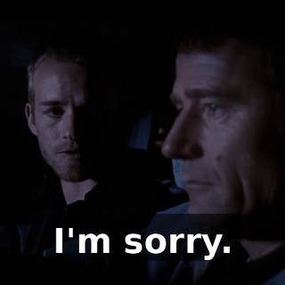 I'm sorry.