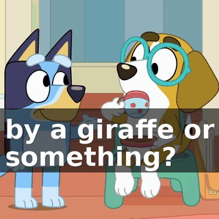 aee19cc9-c717-429a-b613-a6796a80ad0e.gif