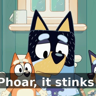 Phoar, it stinks!