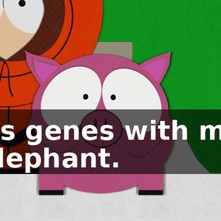 its genes with my elephant.