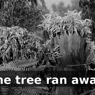 afc0696c-2079-444e-9762-7f84a34c1f17.gif