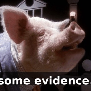 some evidence.
