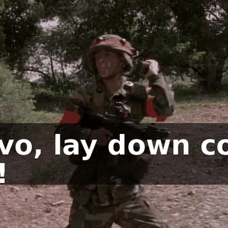 Bravo, lay down cover fire!