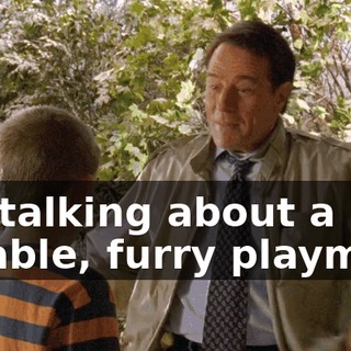 I'm talking about a lovable, furry playmate