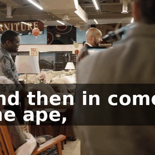 and then in comes the ape,