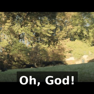 Oh, God!