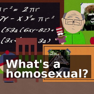What's a homosexual?